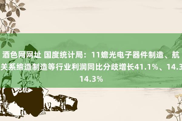 酒色网网址 国度统计局：11蟾光电子器件制造、航天关系缔造制造等行业利润同比分歧增长41.1%、14.3%