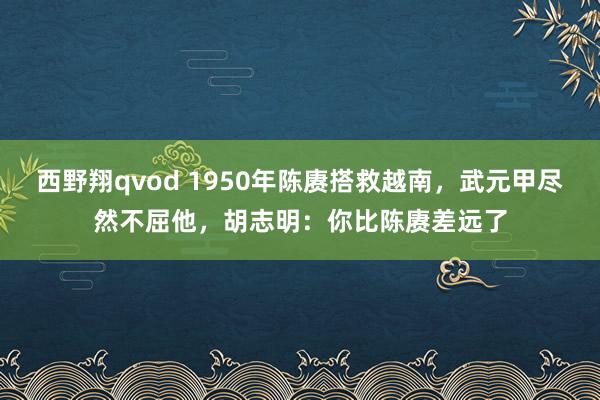 西野翔qvod 1950年陈赓搭救越南，武元甲尽然不屈他，胡志明：你比陈赓差远了