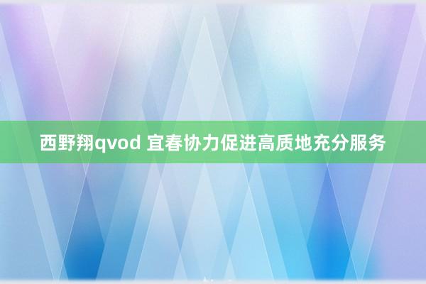 西野翔qvod 宜春协力促进高质地充分服务