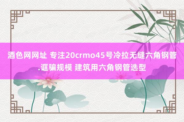 酒色网网址 专注20crmo45号冷拉无缝六角钢管.诓骗规模 建筑用六角钢管选型