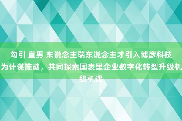 勾引 直男 东说念主瑞东说念主才引入博彦科技成为计谋推动，共同探索国表里企业数字化转型升级机遇