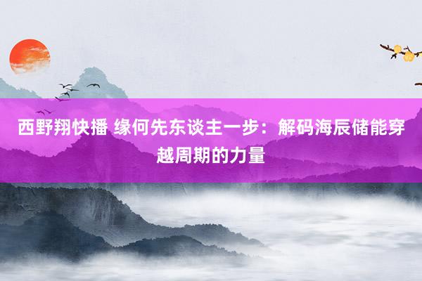 西野翔快播 缘何先东谈主一步：解码海辰储能穿越周期的力量