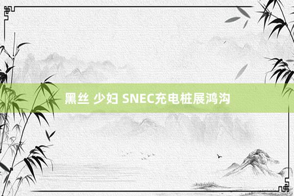 黑丝 少妇 SNEC充电桩展鸿沟