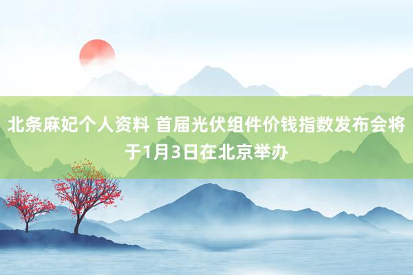 北条麻妃个人资料 首届光伏组件价钱指数发布会将于1月3日在北京举办