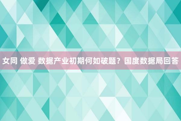 女同 做爱 数据产业初期何如破题？国度数据局回答