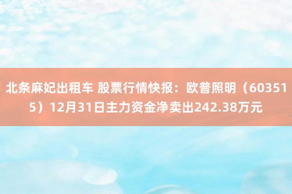 北条麻妃出租车 股票行情快报：欧普照明（603515）12月31日主力资金净卖出242.38万元