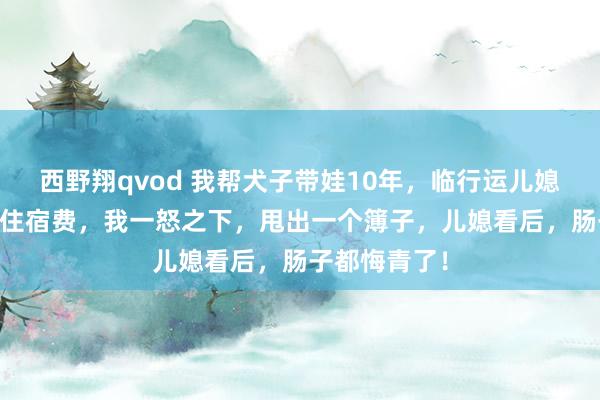 西野翔qvod 我帮犬子带娃10年，临行运儿媳找我要10万住宿费，我一怒之下，甩出一个簿子，儿媳看后，肠子都悔青了！