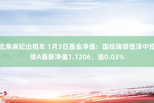 北条麻妃出租车 1月3日基金净值：国投瑞银恒泽中短债A最新净值1.1206，涨0.03%