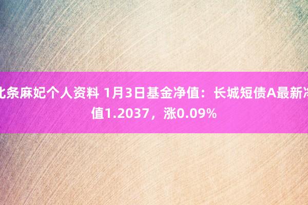 北条麻妃个人资料 1月3日基金净值：长城短债A最新净值1.2037，涨0.09%