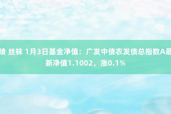 绫 丝袜 1月3日基金净值：广发中债农发债总指数A最新净值1.1002，涨0.1%