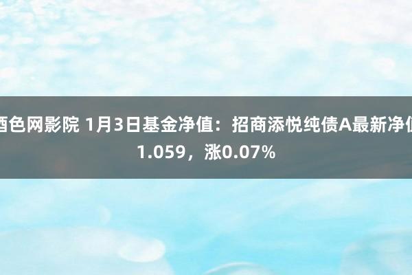 酒色网影院 1月3日基金净值：招商添悦纯债A最新净值1.059，涨0.07%