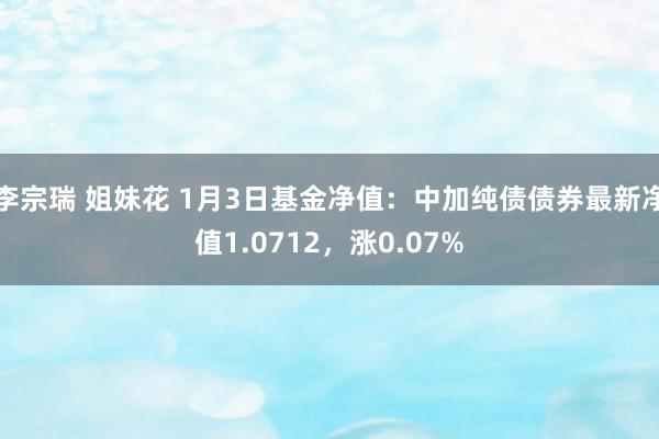 李宗瑞 姐妹花 1月3日基金净值：中加纯债债券最新净值1.0712，涨0.07%