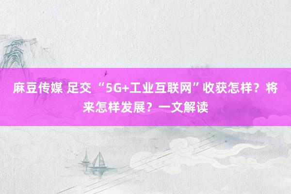 麻豆传媒 足交 “5G+工业互联网”收获怎样？将来怎样发展？一文解读