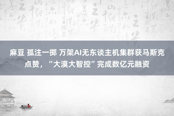 麻豆 孤注一掷 万架AI无东谈主机集群获马斯克点赞，“大漠大智控”完成数亿元融资