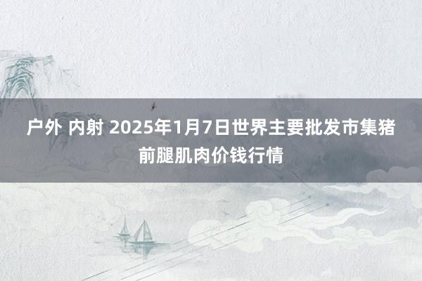 户外 内射 2025年1月7日世界主要批发市集猪前腿肌肉价钱行情