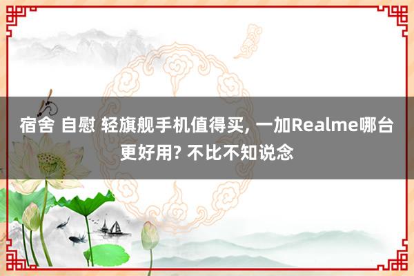 宿舍 自慰 轻旗舰手机值得买, 一加Realme哪台更好用? 不比不知说念