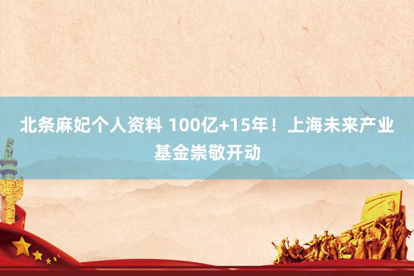 北条麻妃个人资料 100亿+15年！上海未来产业基金崇敬开动