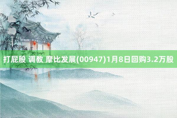 打屁股 调教 摩比发展(00947)1月8日回购3.2万股