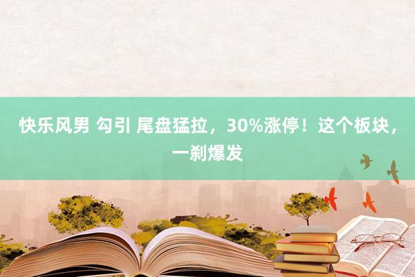 快乐风男 勾引 尾盘猛拉，30%涨停！这个板块，一刹爆发