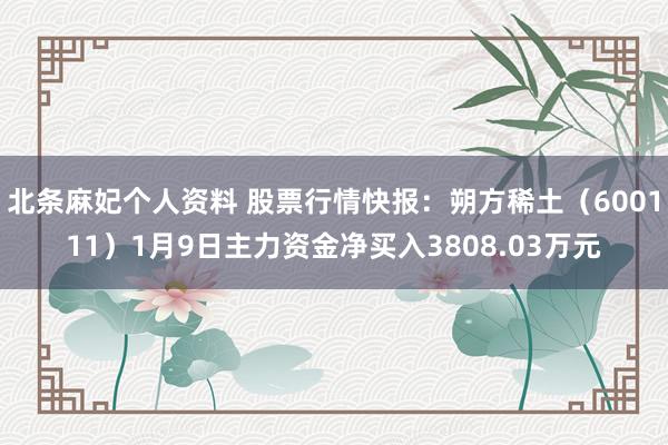 北条麻妃个人资料 股票行情快报：朔方稀土（600111）1月9日主力资金净买入3808.03万元