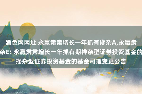 酒色网网址 永赢肃肃增长一年抓有搀杂A,永赢肃肃增长一年抓有搀杂E: 永赢肃肃增长一年抓有期搀杂型证券投资基金的基金司理变更公告