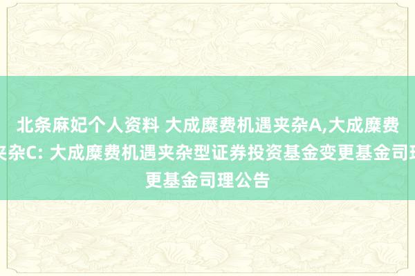 北条麻妃个人资料 大成糜费机遇夹杂A,大成糜费机遇夹杂C: 大成糜费机遇夹杂型证券投资基金变更基金司理公告