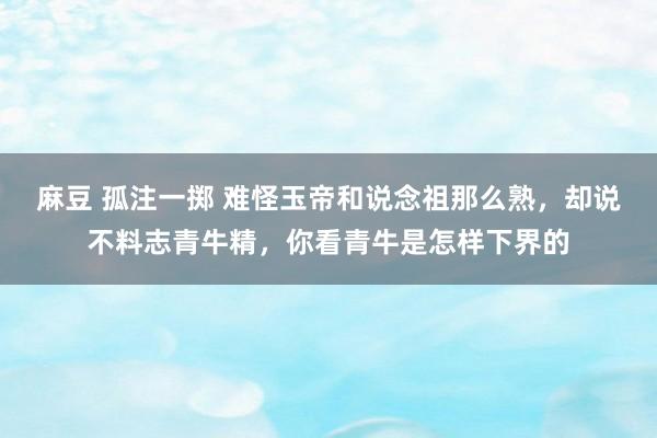 麻豆 孤注一掷 难怪玉帝和说念祖那么熟，却说不料志青牛精，你看青牛是怎样下界的