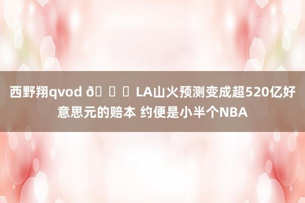 西野翔qvod 💀LA山火预测变成超520亿好意思元的赔本 约便是小半个NBA