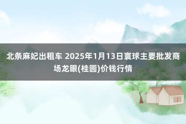 北条麻妃出租车 2025年1月13日寰球主要批发商场龙眼(桂圆)价钱行情