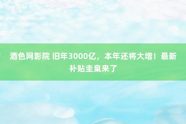 酒色网影院 旧年3000亿，本年还将大增！最新补贴圭臬来了