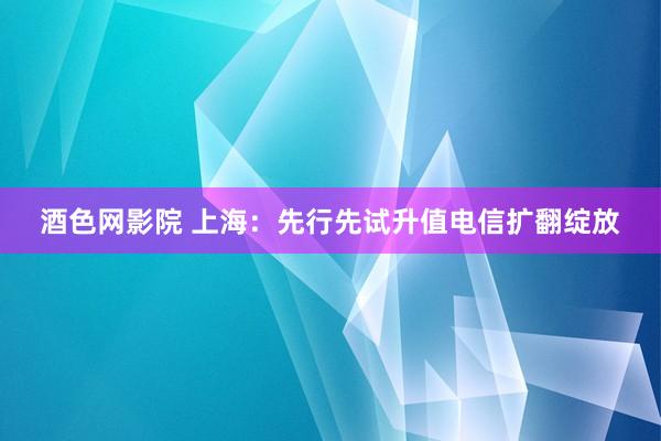 酒色网影院 上海：先行先试升值电信扩翻绽放