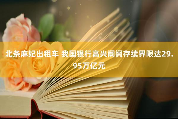 北条麻妃出租车 我国银行高兴阛阓存续界限达29.95万亿元