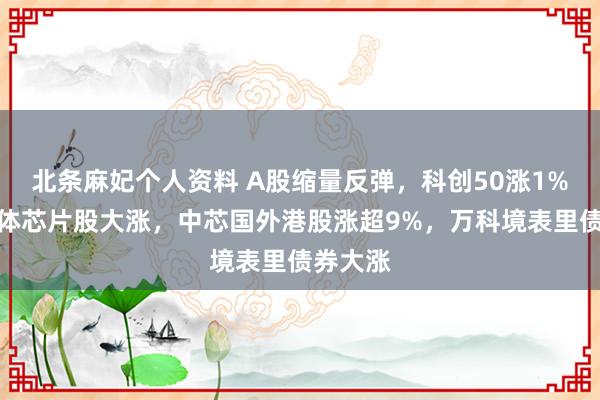 北条麻妃个人资料 A股缩量反弹，科创50涨1%，半导体芯片股大涨，中芯国外港股涨超9%，万科境表里债券大涨